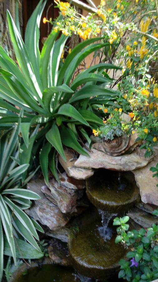 Eco Pousada Jardim Do Eden Alto Paraíso de Goiás المظهر الخارجي الصورة