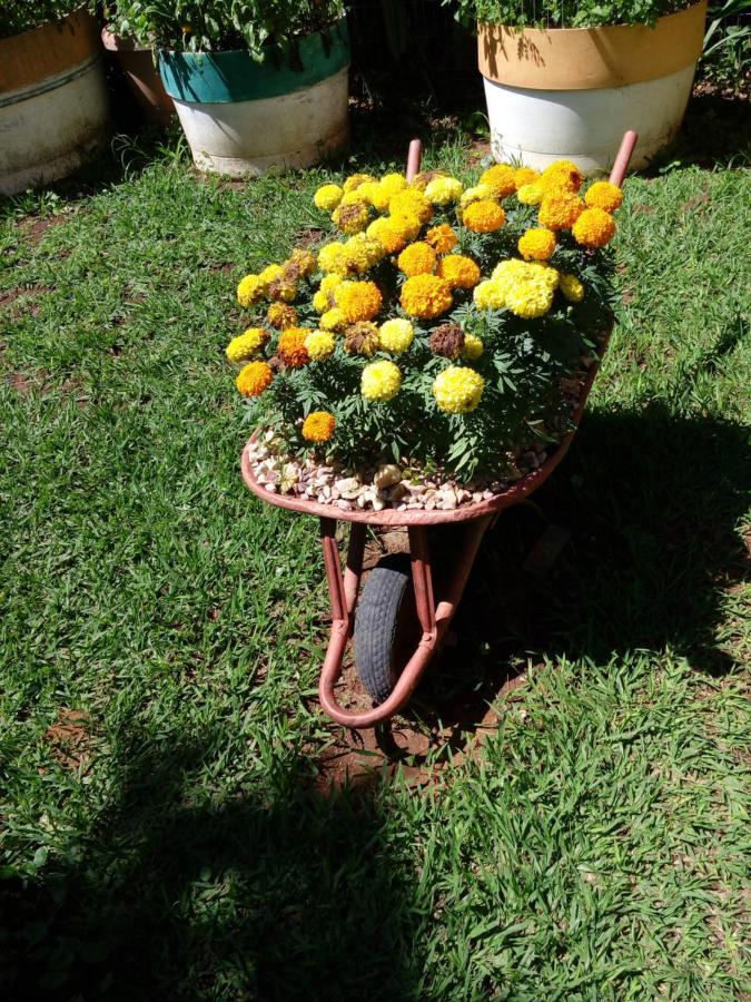 Eco Pousada Jardim Do Eden Alto Paraíso de Goiás المظهر الخارجي الصورة
