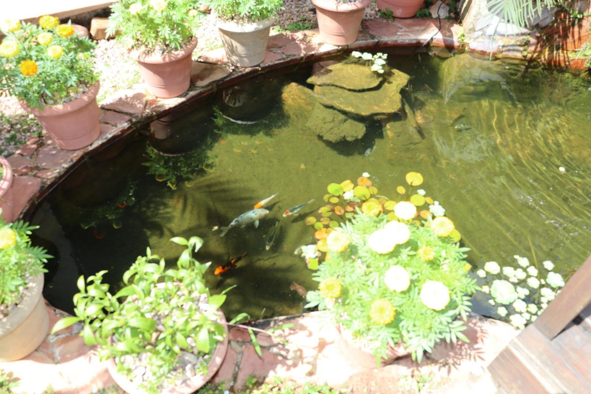 Eco Pousada Jardim Do Eden Alto Paraíso de Goiás المظهر الخارجي الصورة