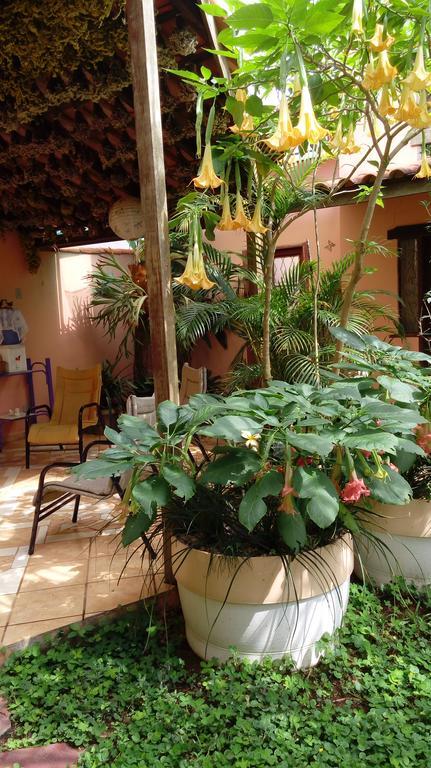 Eco Pousada Jardim Do Eden Alto Paraíso de Goiás المظهر الخارجي الصورة