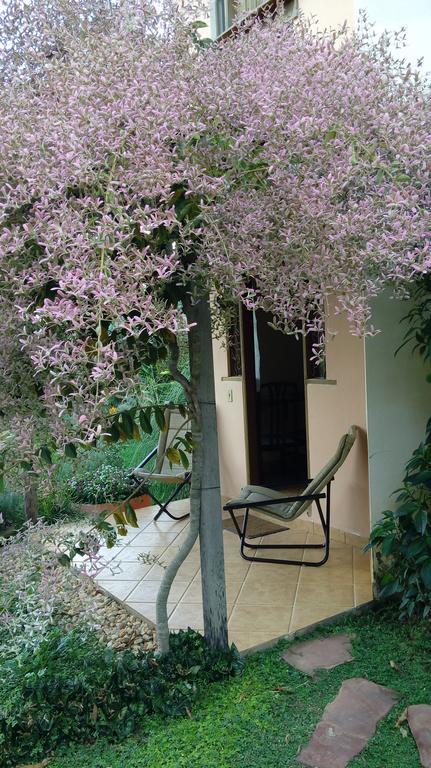Eco Pousada Jardim Do Eden Alto Paraíso de Goiás المظهر الخارجي الصورة