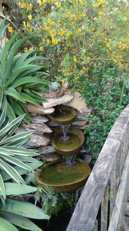 Eco Pousada Jardim Do Eden Alto Paraíso de Goiás المظهر الخارجي الصورة